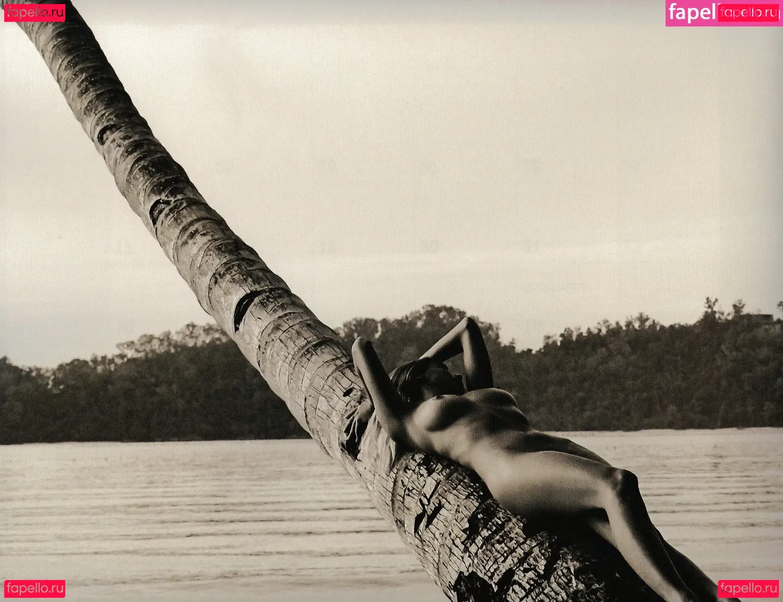 Genevieve Morton Onlyfans Photo Gallery 