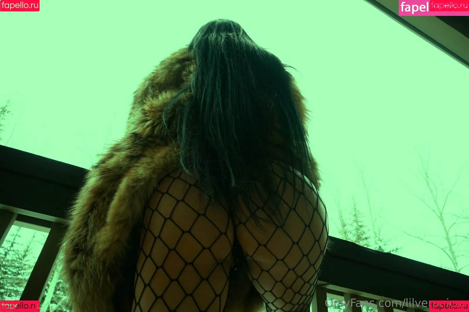 Lilveronicar Onlyfans Photo Gallery 