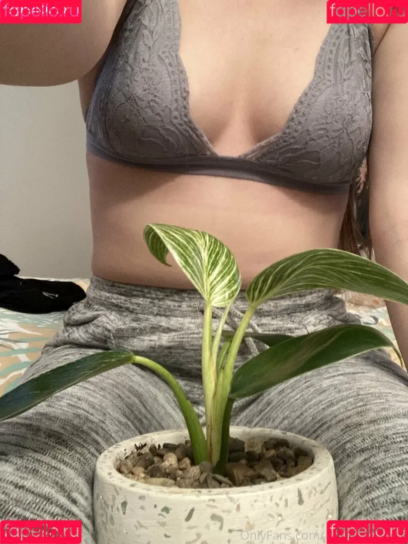 autumnskyexo Onlyfans Photo Gallery 