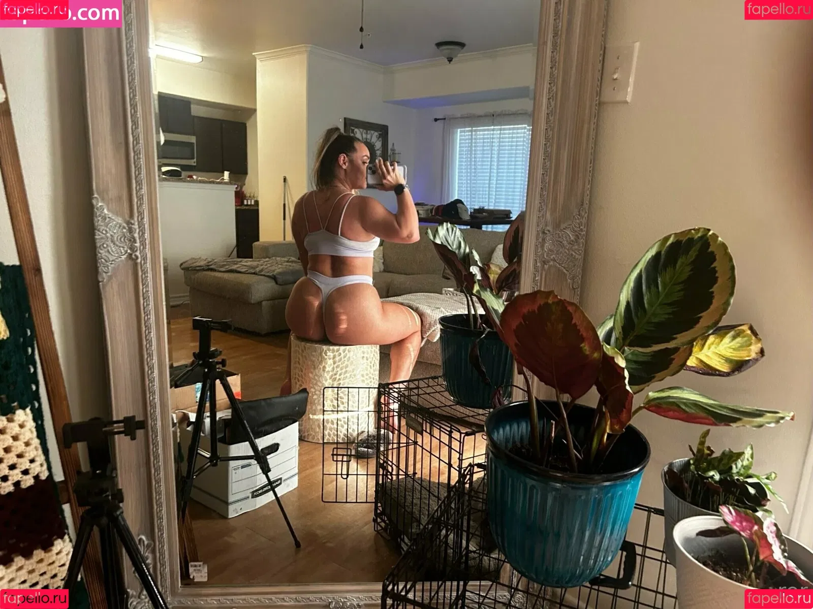 jodie.s Onlyfans Photo Gallery 