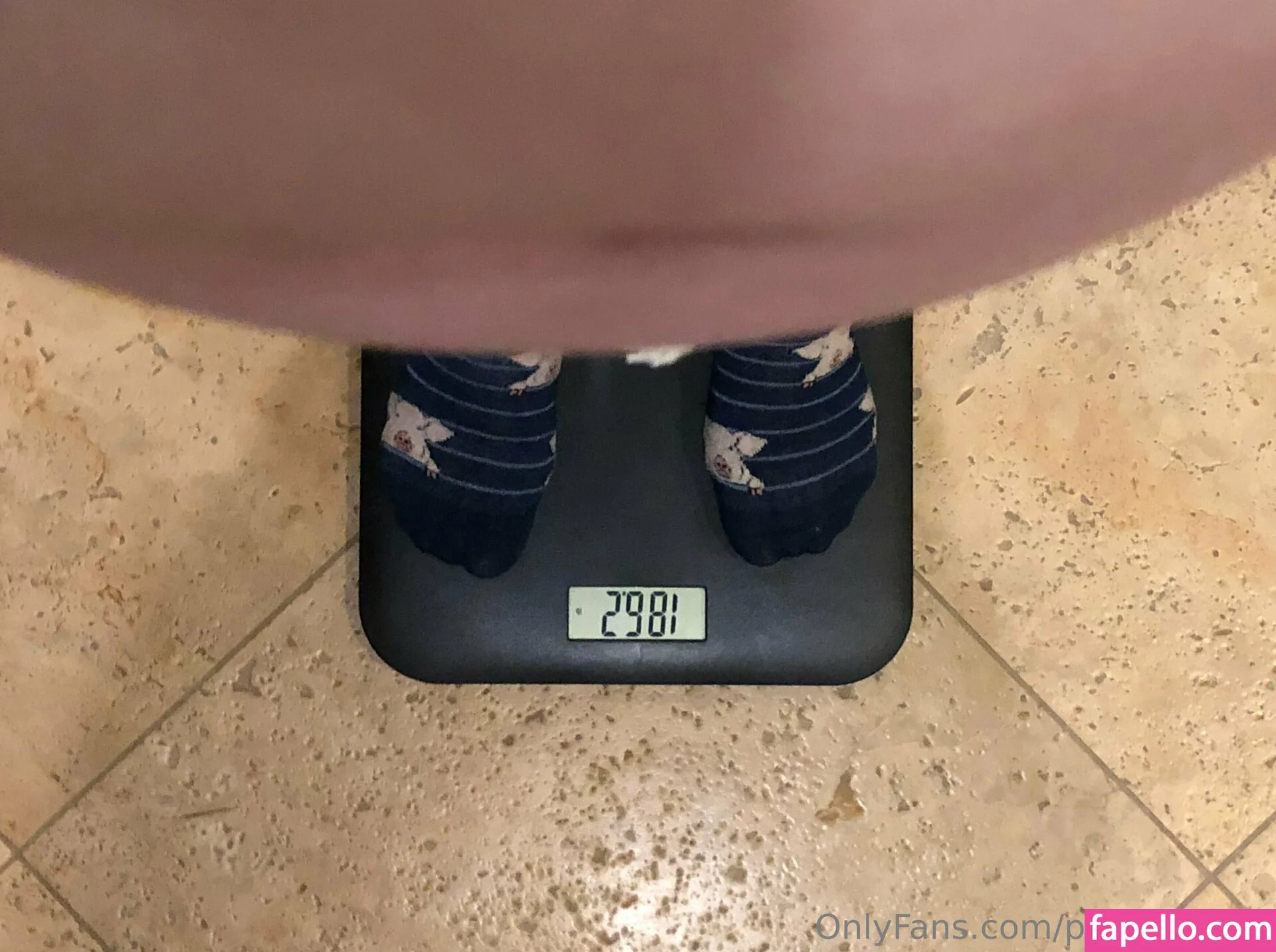 potbellywife Onlyfans Photo Gallery 