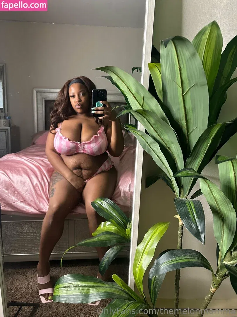 themelonmamma Onlyfans Photo Gallery 