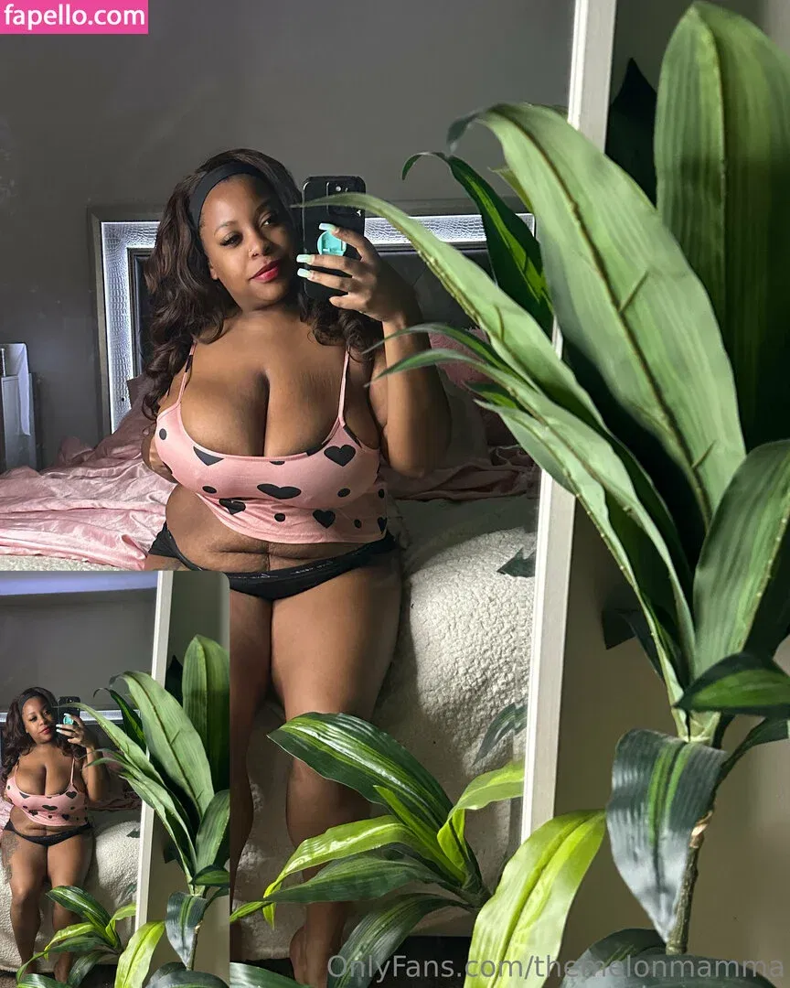 themelonmamma Onlyfans Photo Gallery 