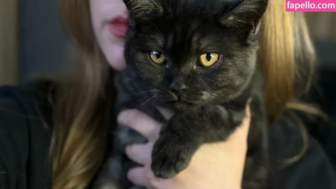 Vwemor Onlyfans Photo Gallery 