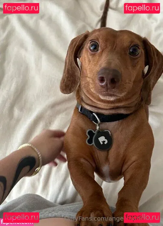 angelyoungsfree Onlyfans Photo Gallery 