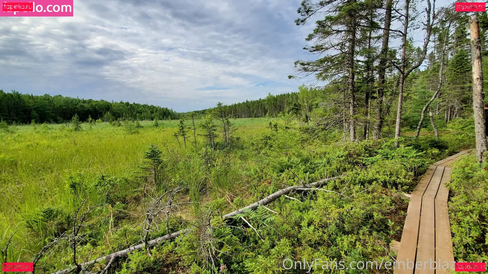 emberblazexxx Onlyfans Photo Gallery 