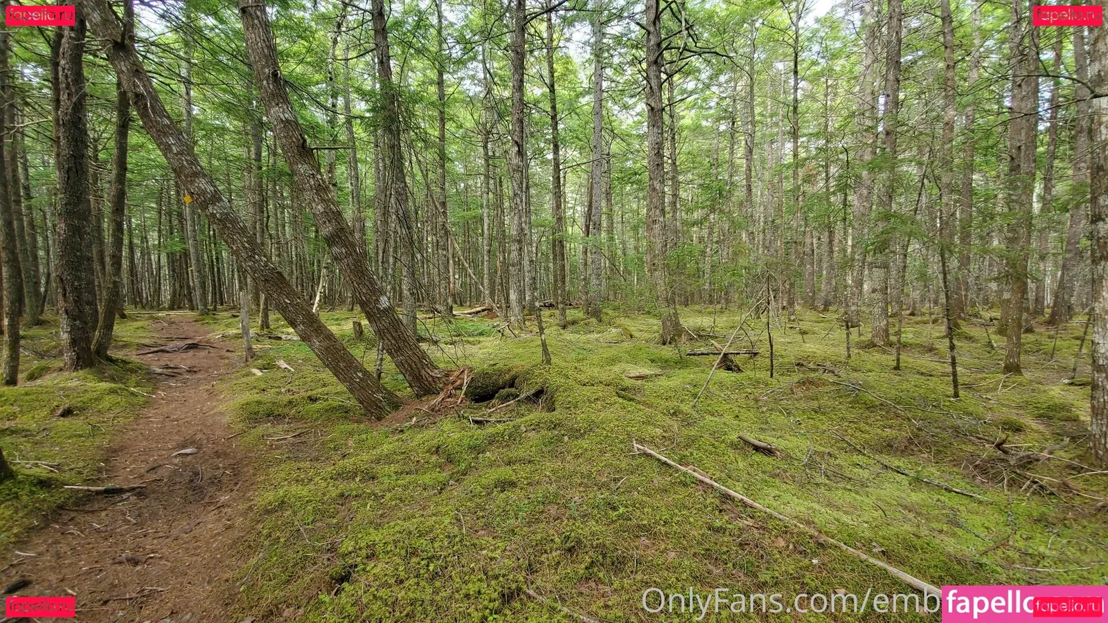 emberblazexxx Onlyfans Photo Gallery 