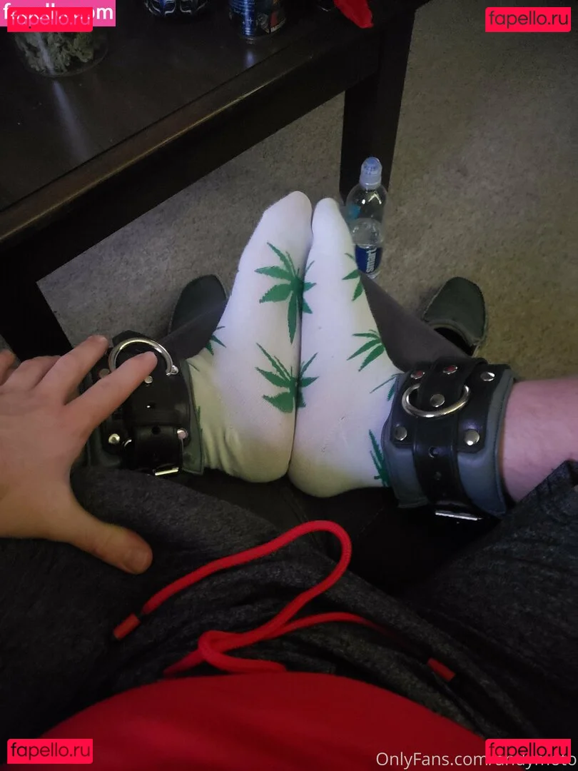 andymoto Onlyfans Photo Gallery 