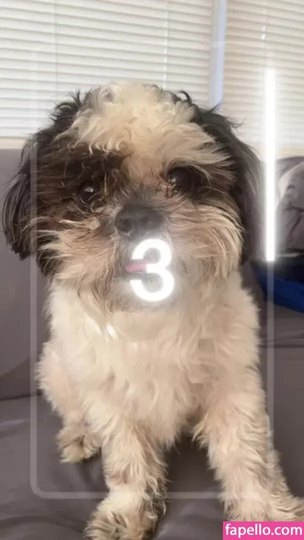 MsSweetTea Onlyfans Photo Gallery 