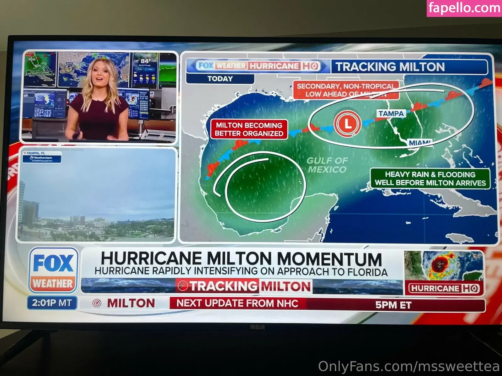 MsSweetTea Onlyfans Photo Gallery 