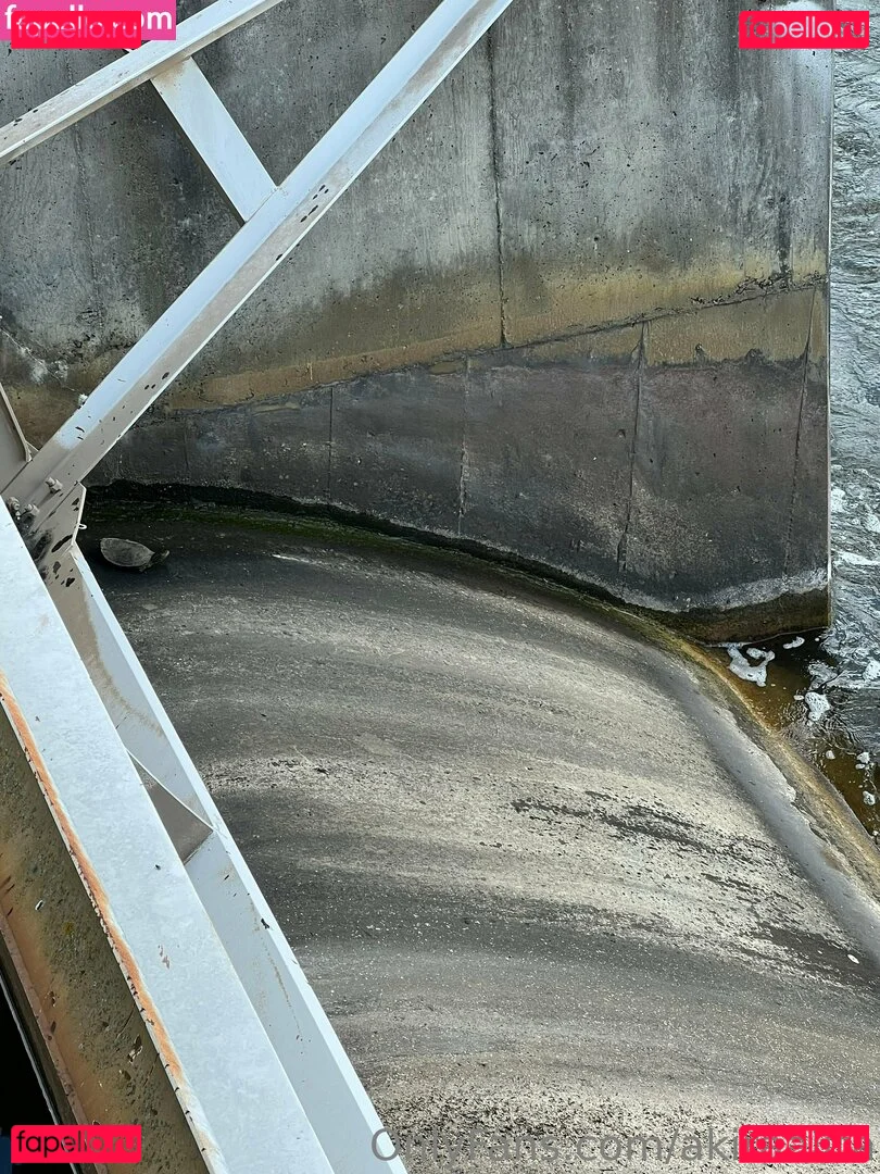 akiraalita Onlyfans Photo Gallery 