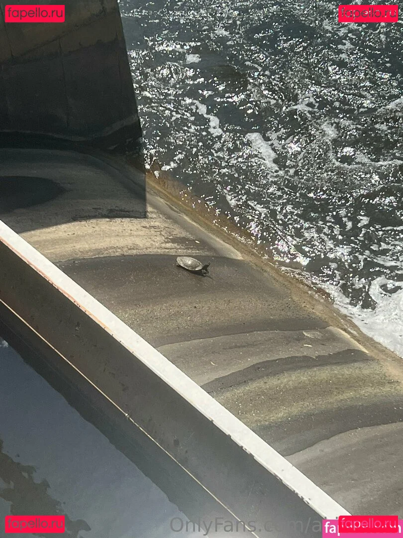 akiraalita Onlyfans Photo Gallery 