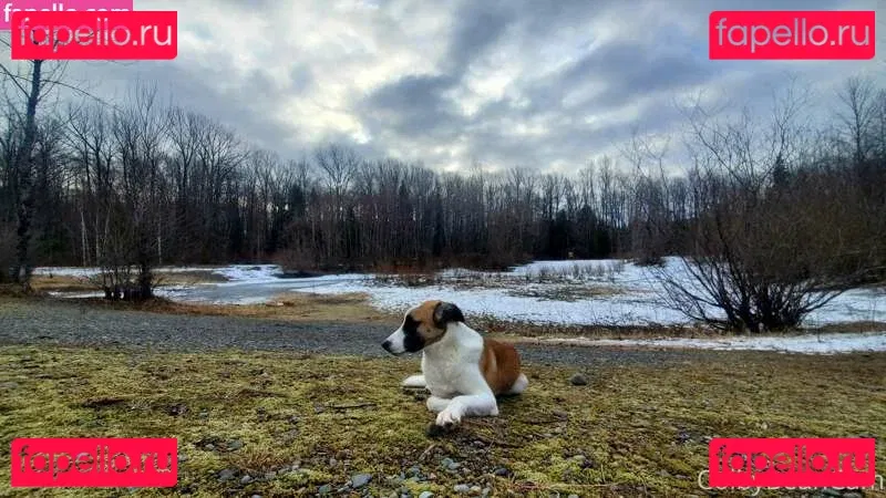 colbybea Onlyfans Photo Gallery 