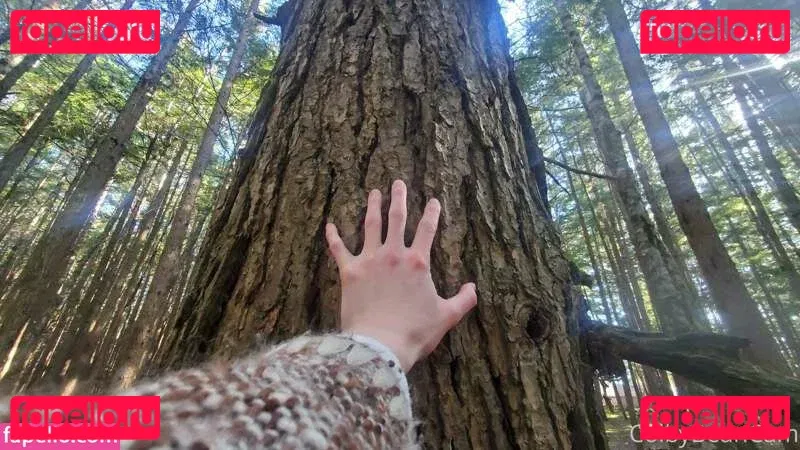 colbybea Onlyfans Photo Gallery 