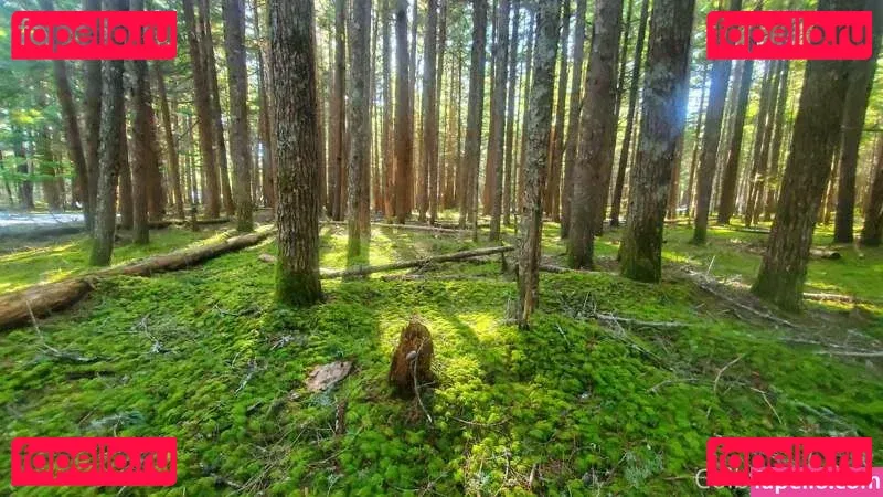 colbybea Onlyfans Photo Gallery 