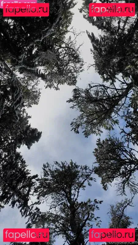 colbybea Onlyfans Photo Gallery 