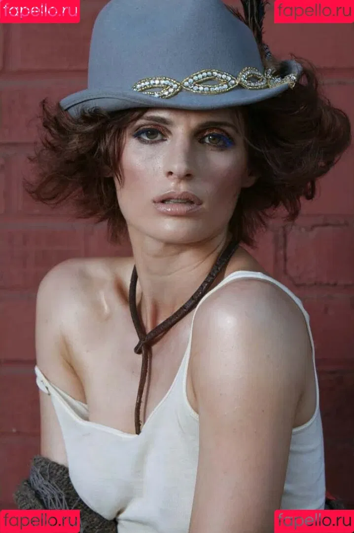 Stana Katic Onlyfans Photo Gallery 
