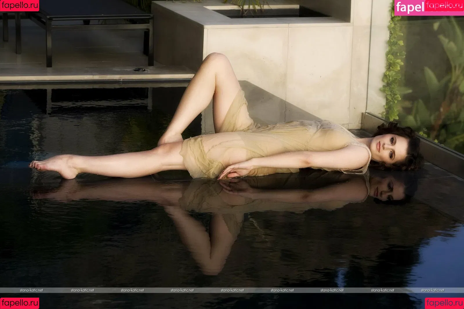 Stana Katic Onlyfans Photo Gallery 