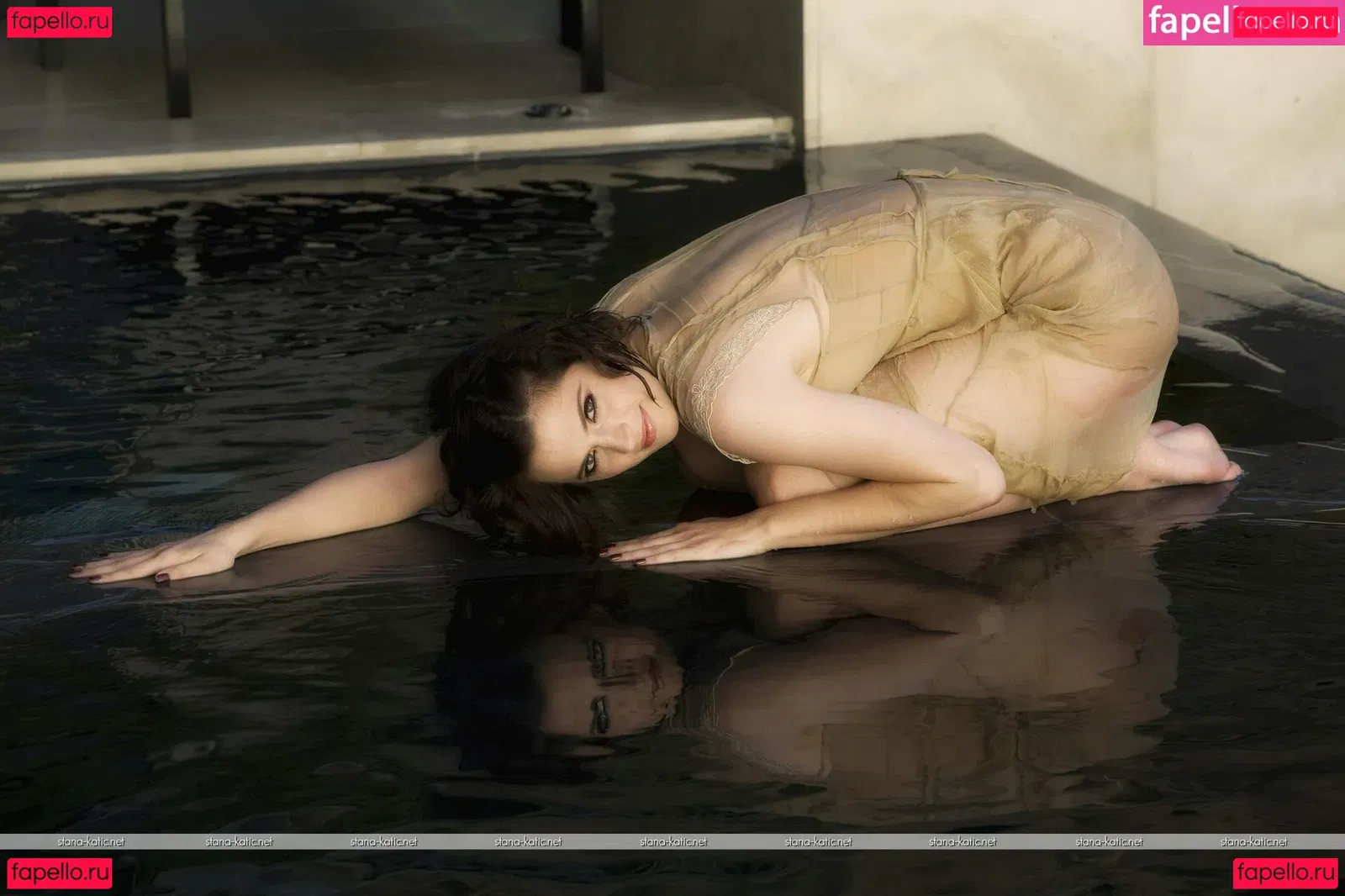 Stana Katic Onlyfans Photo Gallery 