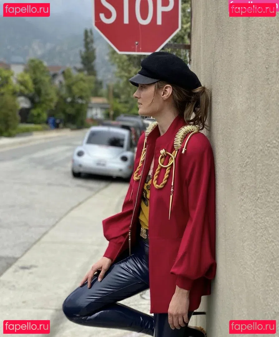 Stana Katic Onlyfans Photo Gallery 