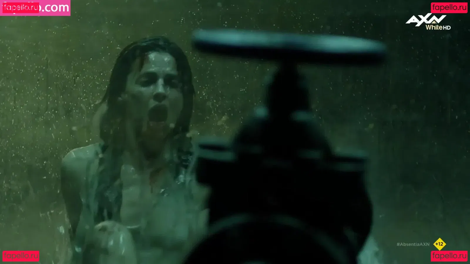 Stana Katic Onlyfans Photo Gallery 