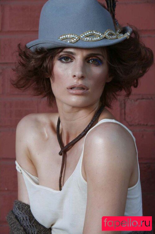 Stana Katic Onlyfans Photo Gallery 