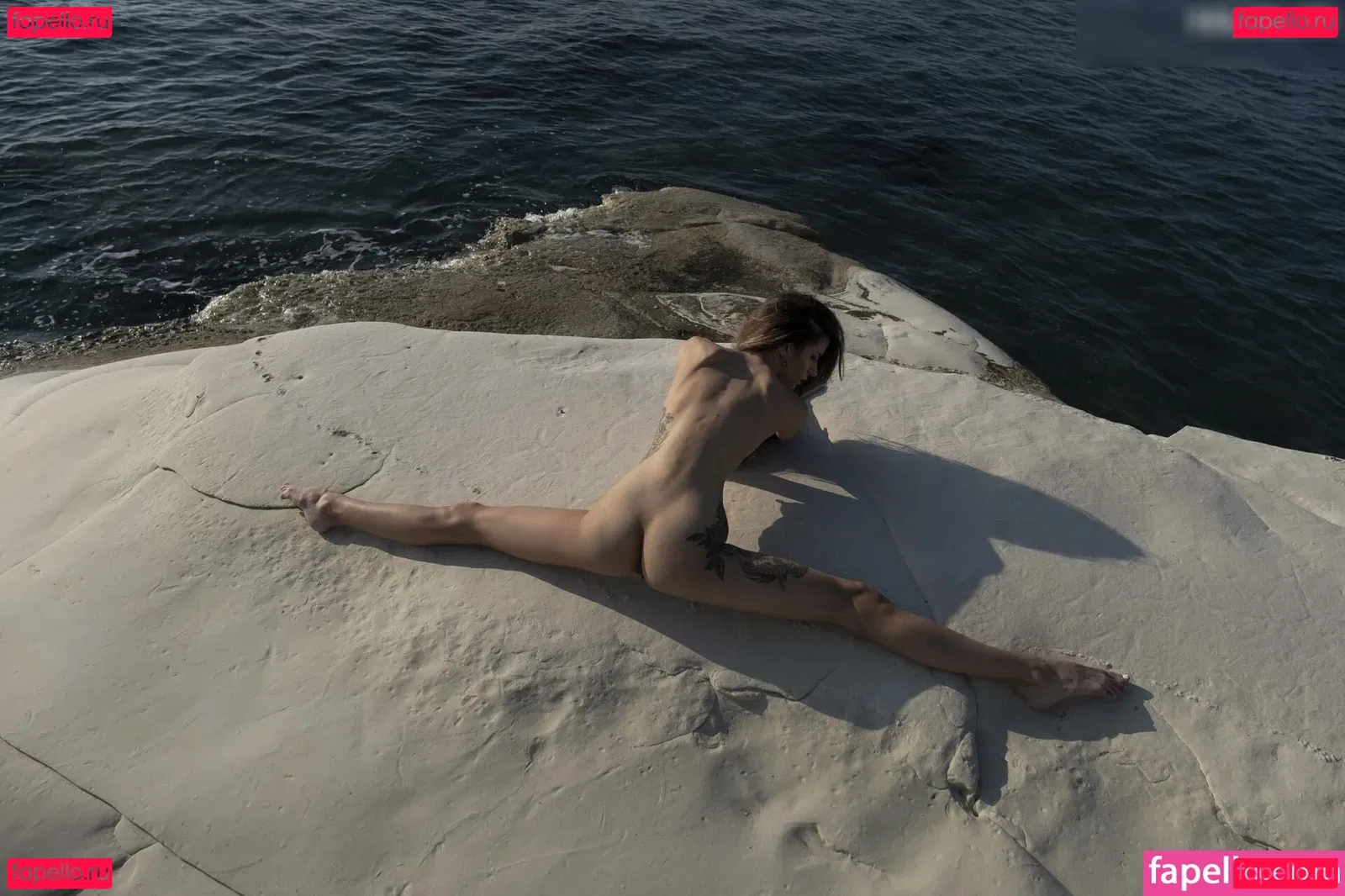 DinaCat Onlyfans Photo Gallery 