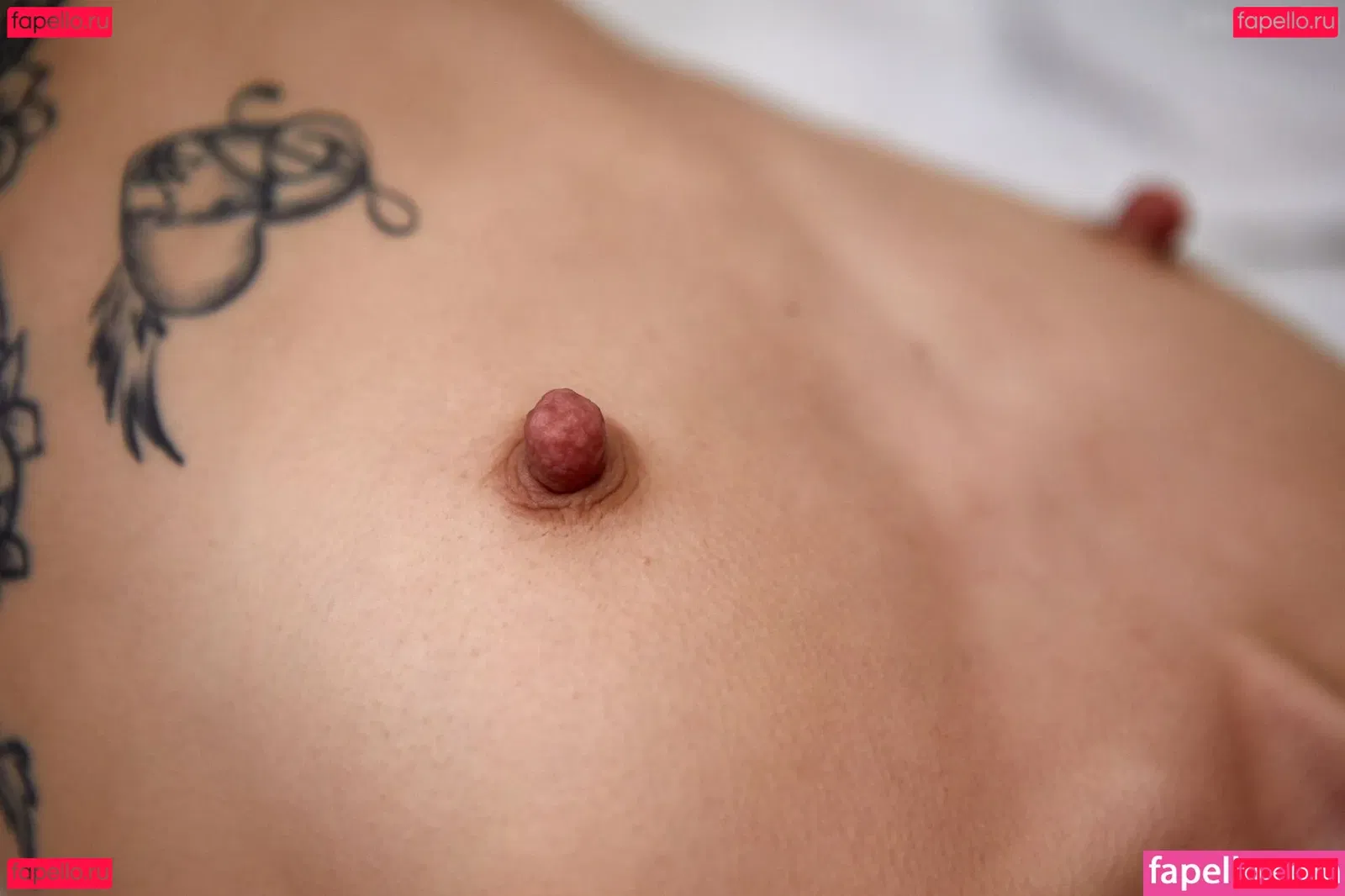 DinaCat Onlyfans Photo Gallery 