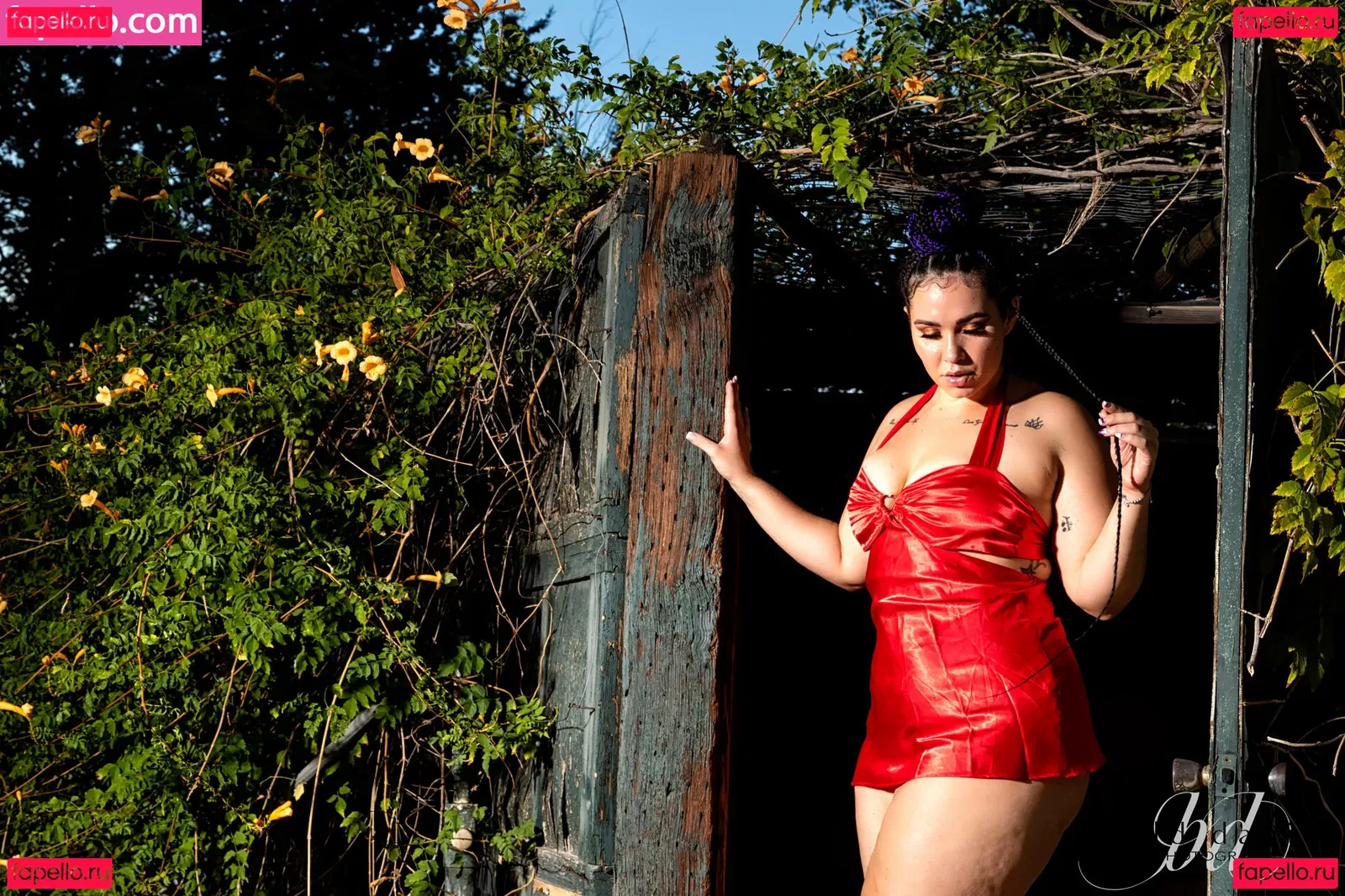 bolddaniel Onlyfans Photo Gallery 