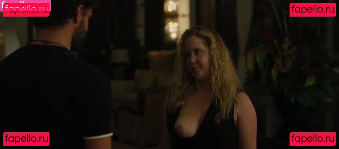 Amy Schumer Onlyfans Photo Gallery 