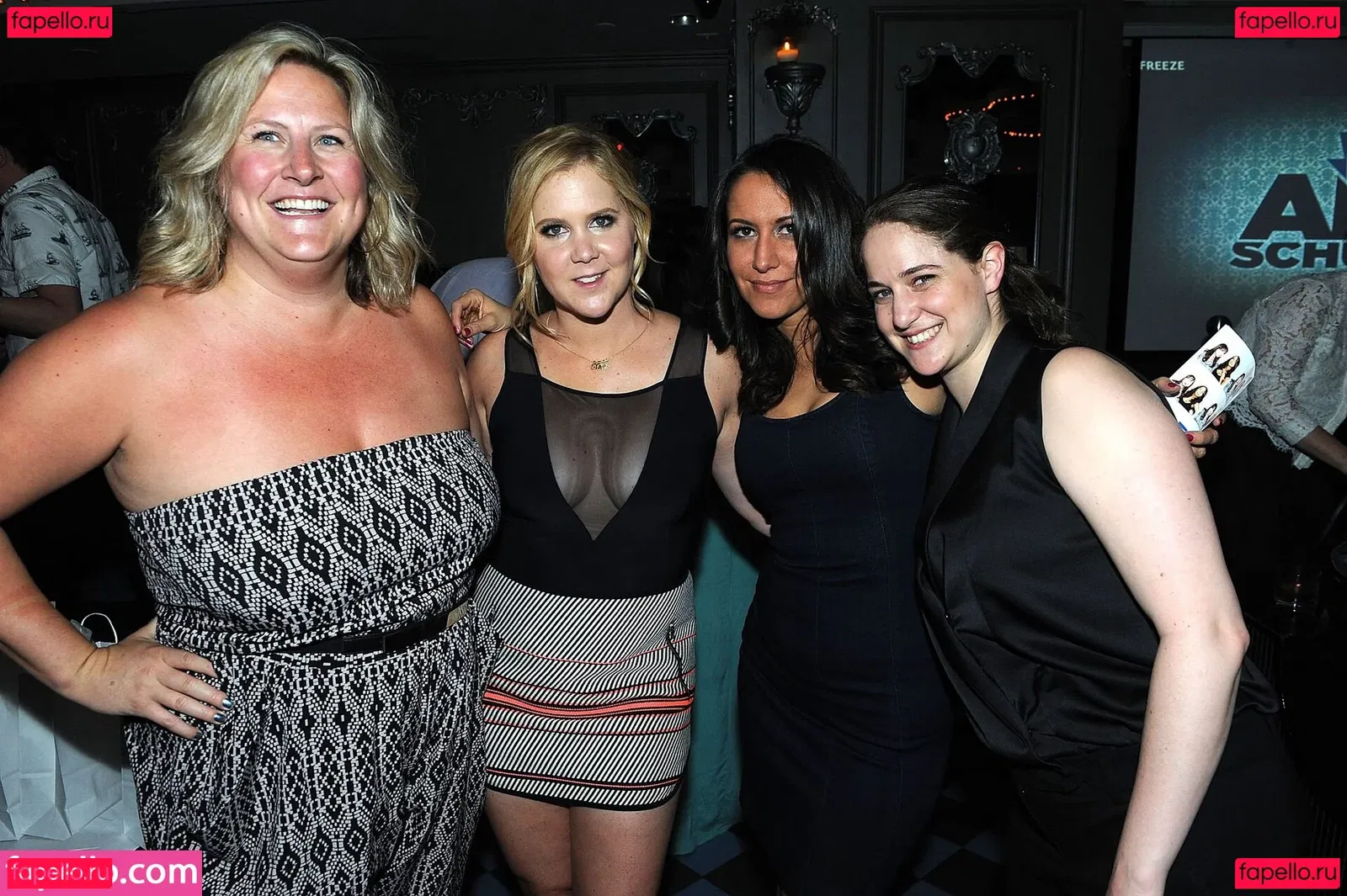 Amy Schumer Onlyfans Photo Gallery 