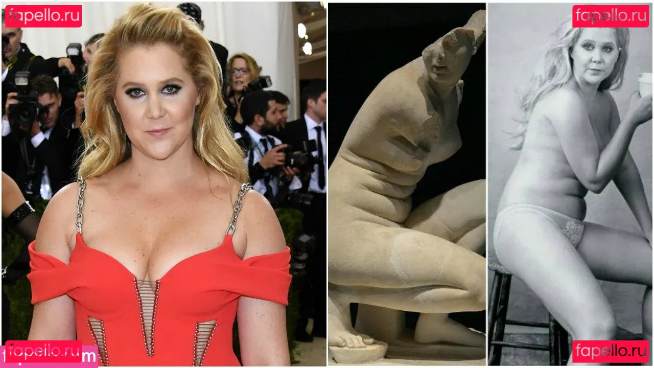 Amy Schumer Onlyfans Photo Gallery 