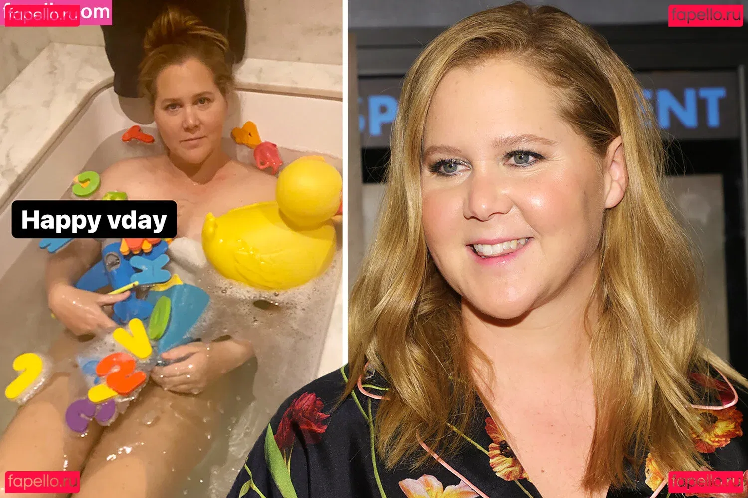 Amy Schumer Onlyfans Photo Gallery 