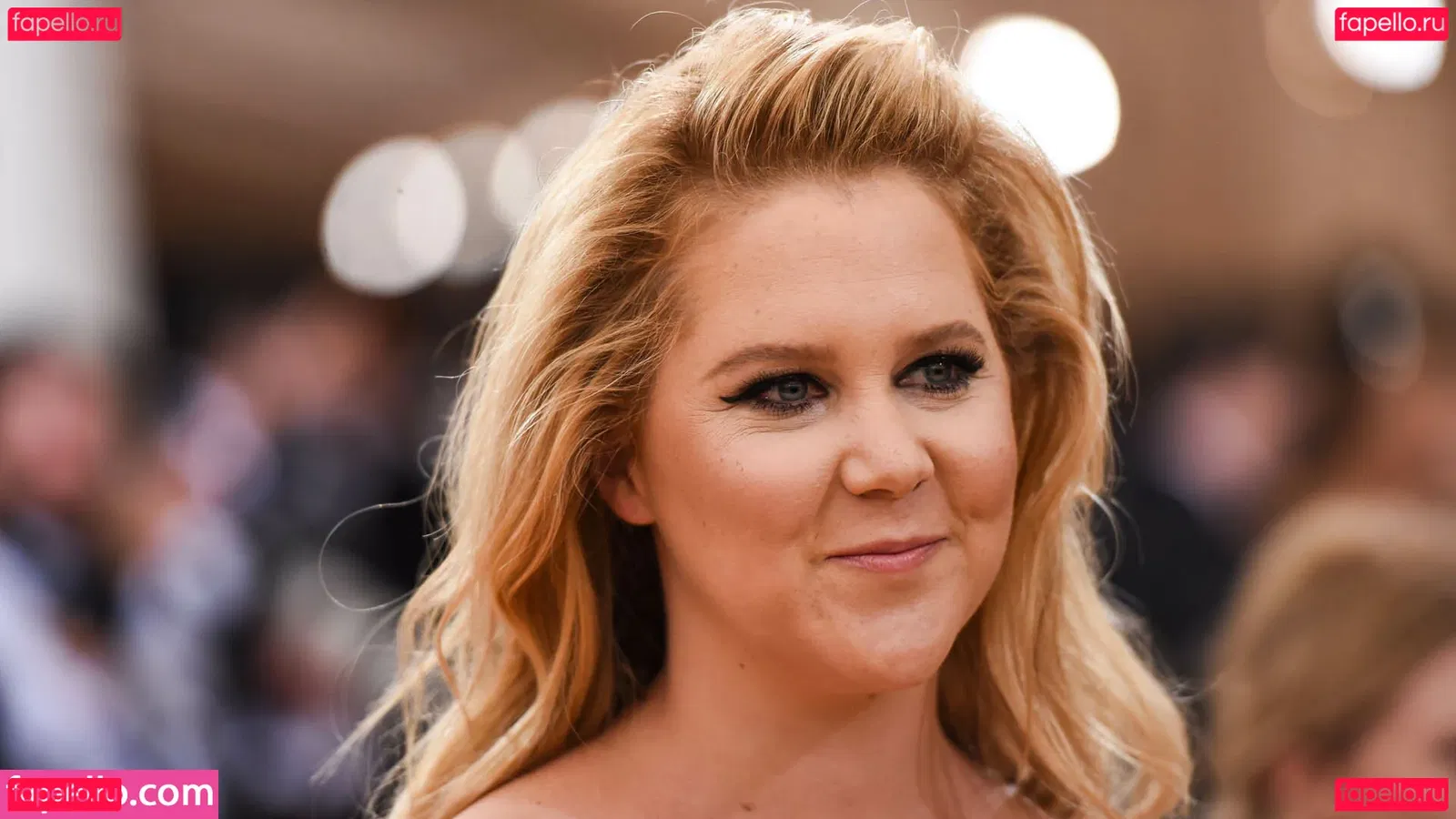 Amy Schumer Onlyfans Photo Gallery 
