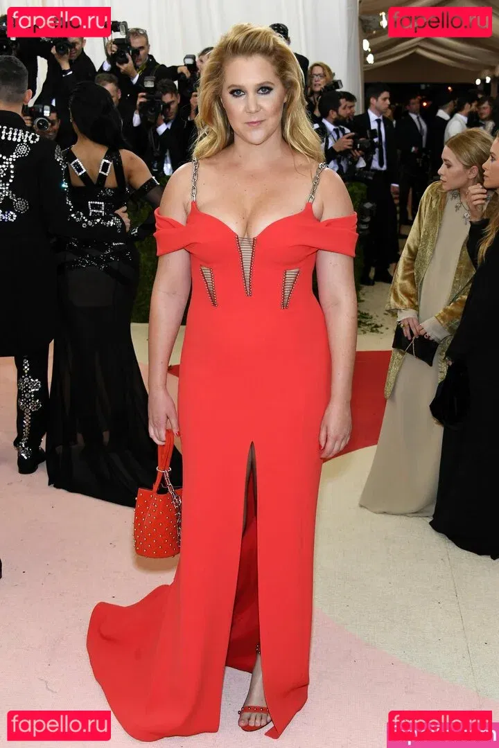 Amy Schumer Onlyfans Photo Gallery 