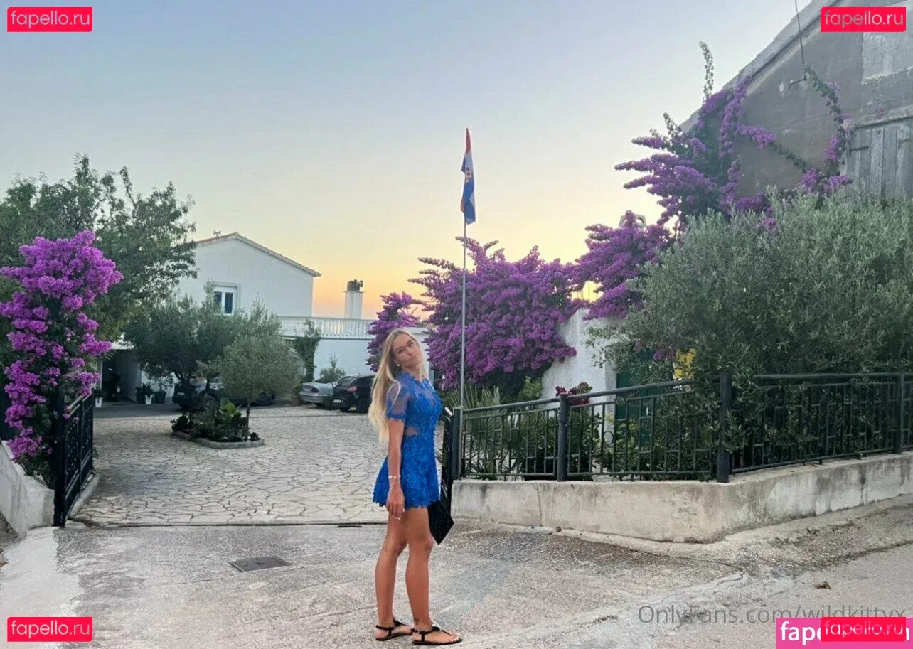 wildkittyx Onlyfans Photo Gallery 