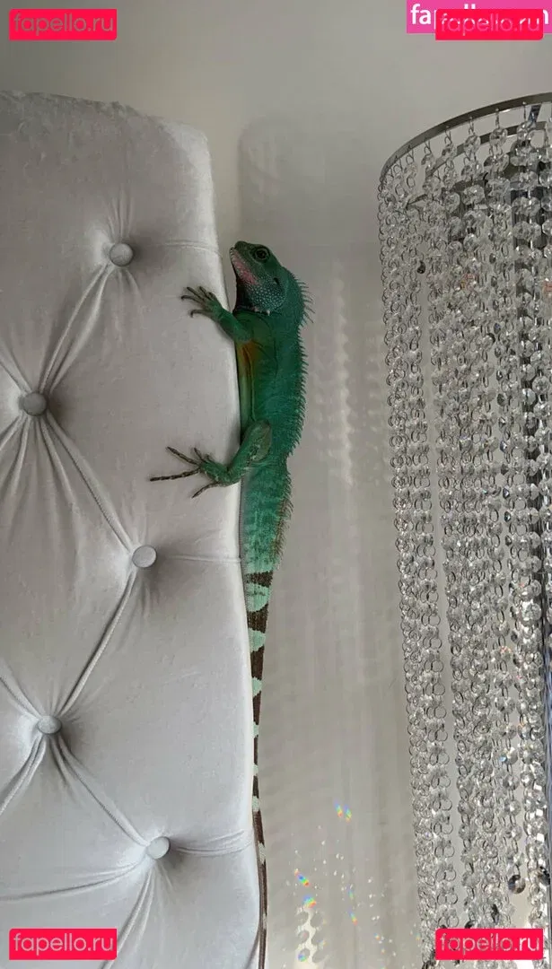 ExplicitKait Onlyfans Photo Gallery 