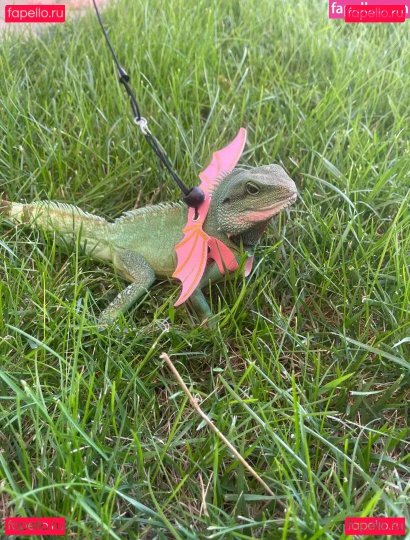 ExplicitKait Onlyfans Photo Gallery 