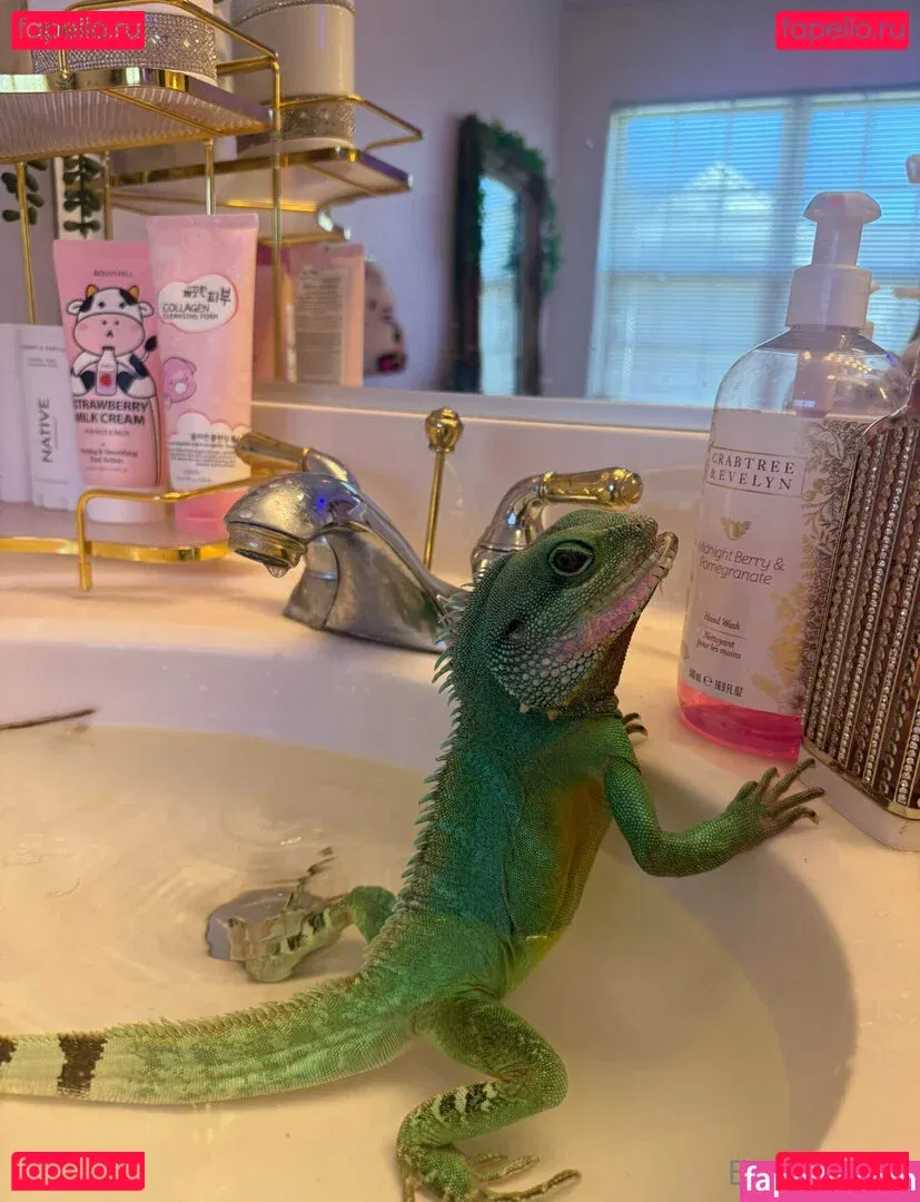 ExplicitKait Onlyfans Photo Gallery 