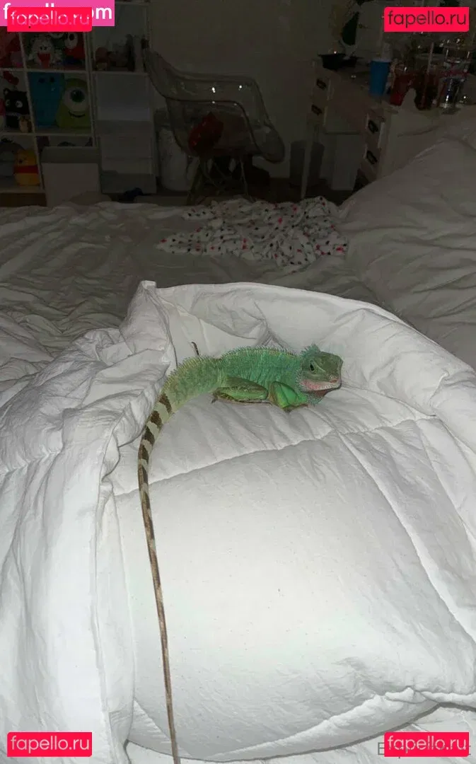 ExplicitKait Onlyfans Photo Gallery 