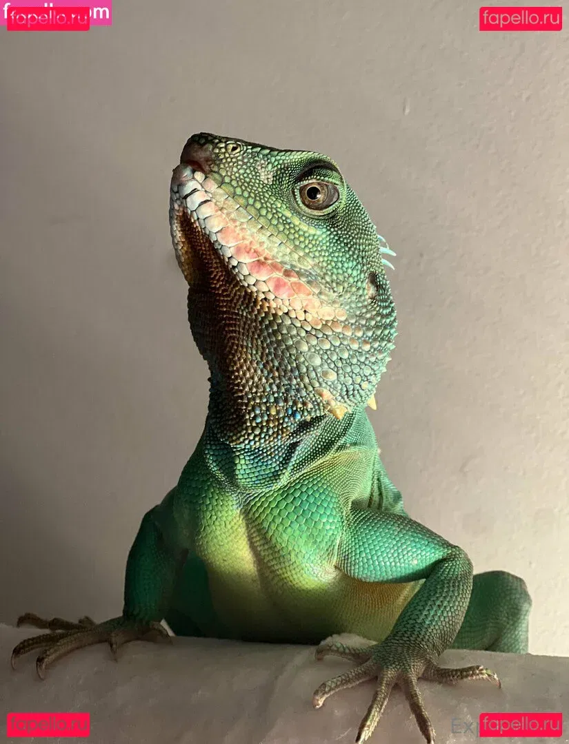 ExplicitKait Onlyfans Photo Gallery 