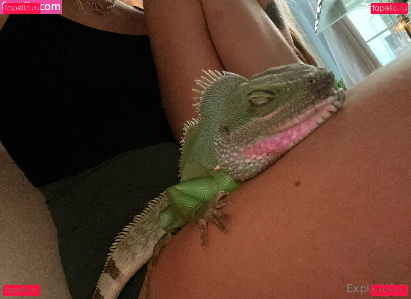 ExplicitKait Onlyfans Photo Gallery 