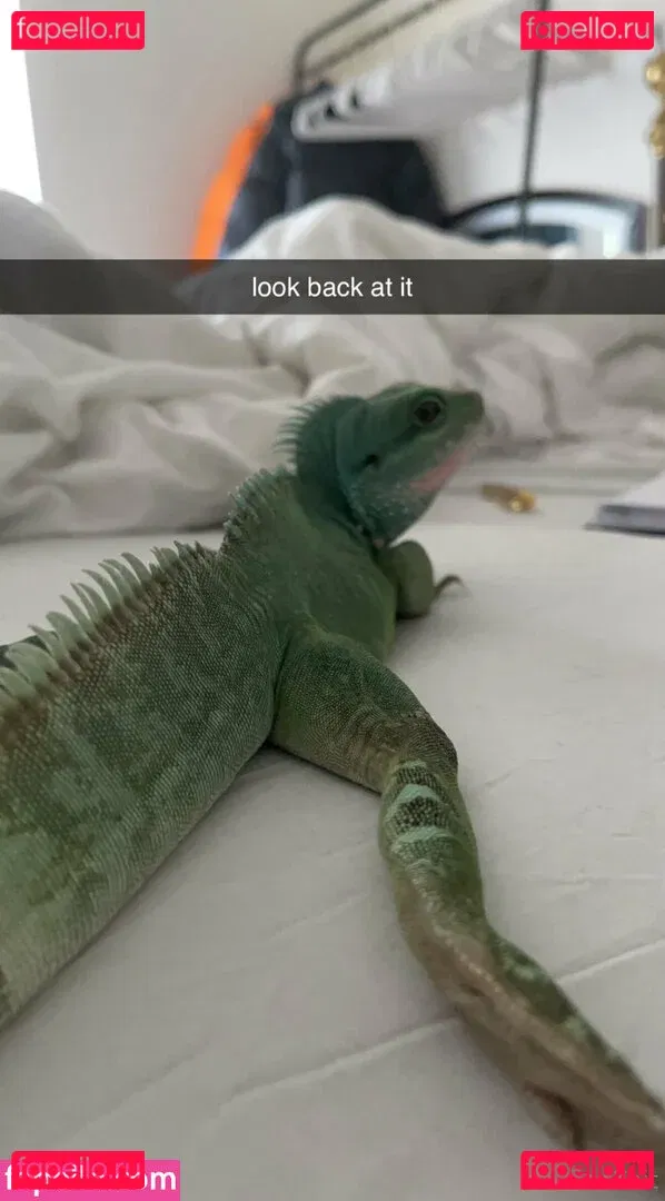 ExplicitKait Onlyfans Photo Gallery 