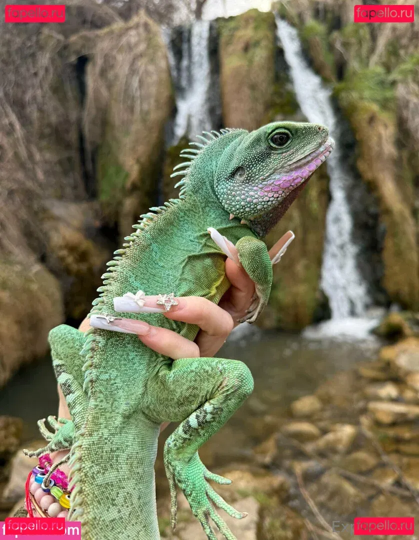 ExplicitKait Onlyfans Photo Gallery 