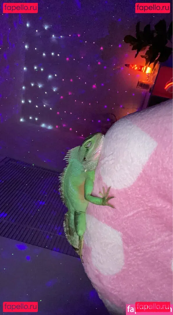 ExplicitKait Onlyfans Photo Gallery 