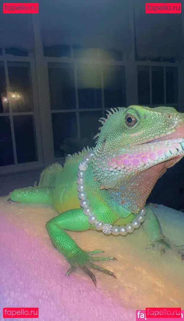 ExplicitKait Onlyfans Photo Gallery 