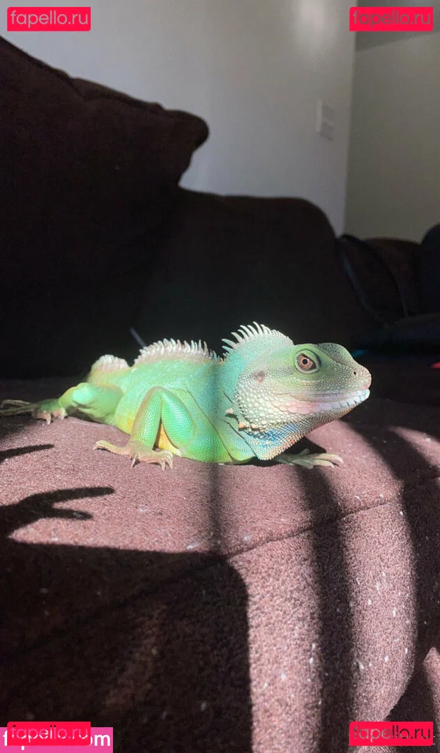 ExplicitKait Onlyfans Photo Gallery 