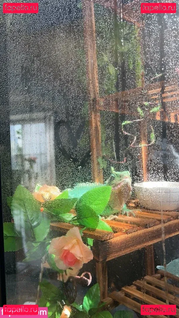 ExplicitKait Onlyfans Photo Gallery 