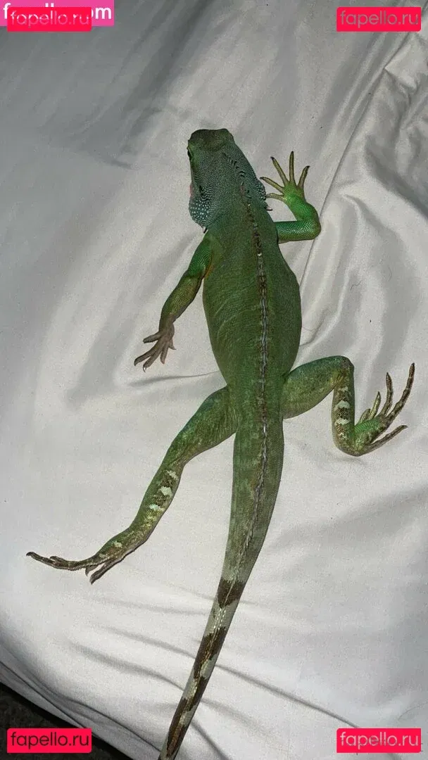 ExplicitKait Onlyfans Photo Gallery 