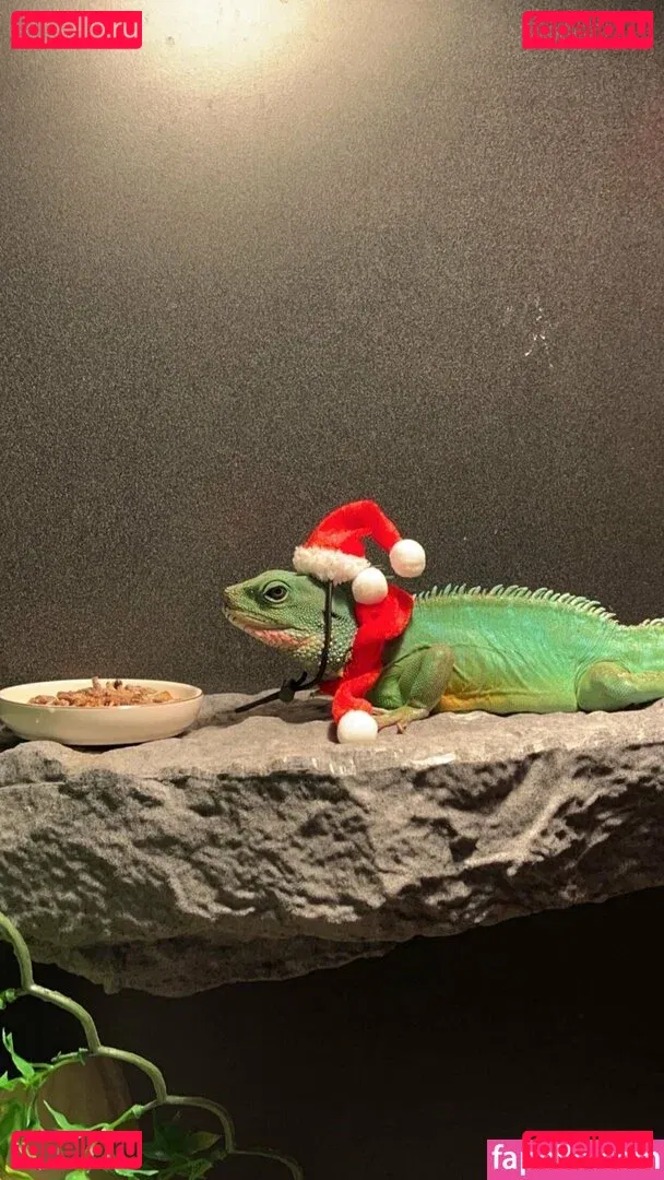 ExplicitKait Onlyfans Photo Gallery 